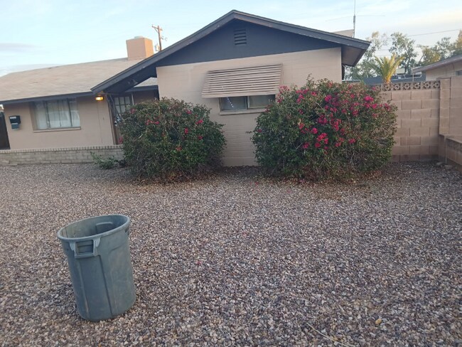 1311 W Elna Rae St in Tempe, AZ - Building Photo - Building Photo