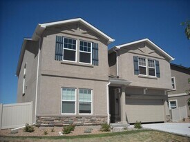 8560 Dry Needle Place in Colorado Springs, CO - Building Photo