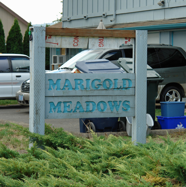 MARIGOLD MEADOWS (A-L) in Springfield, OR - Building Photo - Building Photo