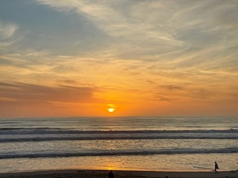 3773 Ocean Front Walk in San Diego, CA - Building Photo - Building Photo