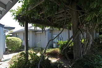 1026 1st St W in Sonoma, CA - Foto de edificio - Building Photo