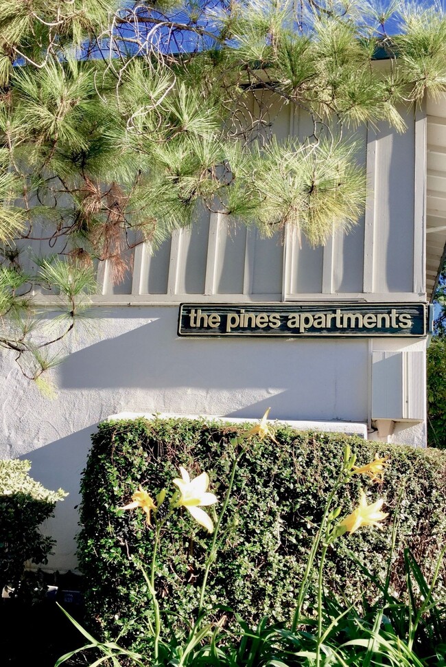 The Pines Apartments in Menlo Park, CA - Building Photo - Building Photo