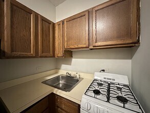 515 W Melrose St, Unit J09W in Chicago, IL - Building Photo - Building Photo