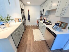 139 Alewife Brook Pky, Unit 1 in Somerville, MA - Building Photo - Building Photo