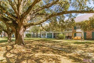 10444 Jefferson Hwy in Baton Rouge, LA - Building Photo