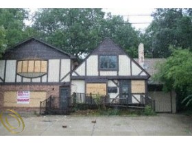 317 S Grove St in Ypsilanti, MI - Building Photo - Building Photo