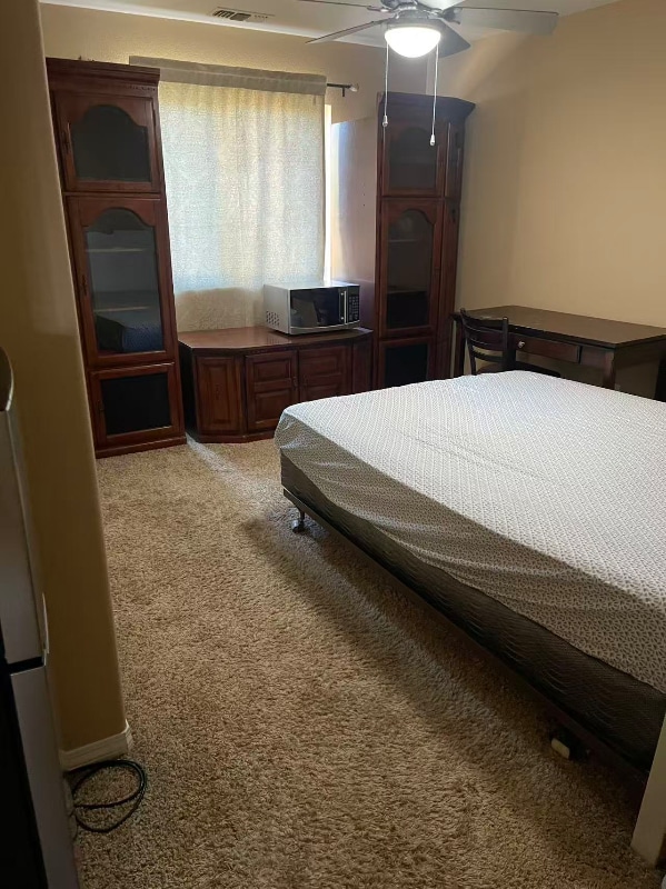 26256 Palm Tree Ln in Murrieta, CA - Building Photo - Building Photo