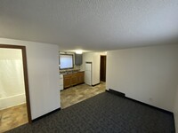 915 4th St SE, Unit 2 in Rochester, MN - Building Photo - Building Photo