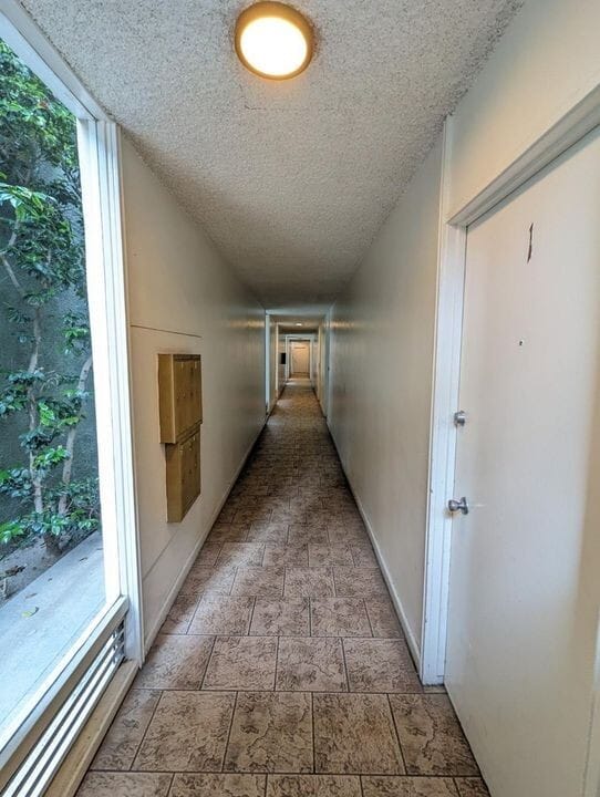 3725 Motor Ave in Los Angeles, CA - Building Photo - Building Photo