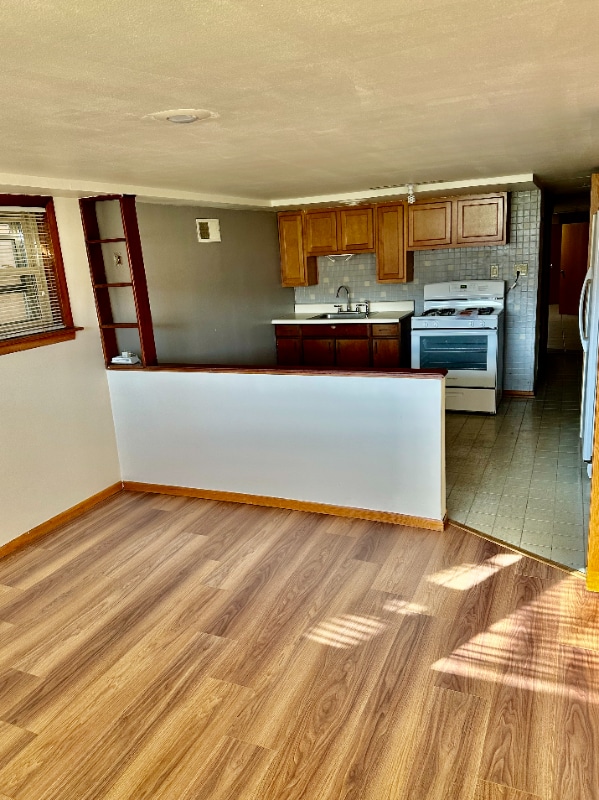 5428 S Kenneth Ave in Chicago, IL - Building Photo - Building Photo