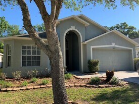 30653 Midtown Ct in Wesley Chapel, FL - Building Photo