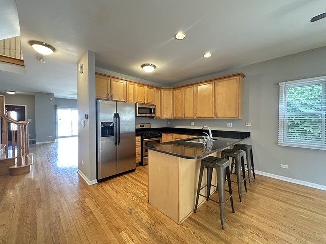 724 N Willard Ct in Chicago, IL - Building Photo - Building Photo