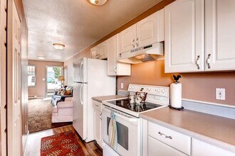 429 Front St-Unit -Downstairs in Fairplay, CO - Building Photo - Building Photo