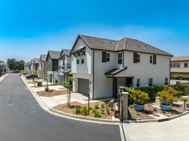 Miren in Arcadia, CA - Foto de edificio - Building Photo