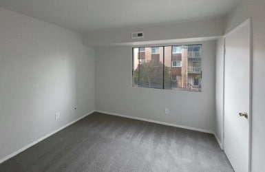 8002 Chanute Pl in Falls Church, VA - Building Photo - Building Photo