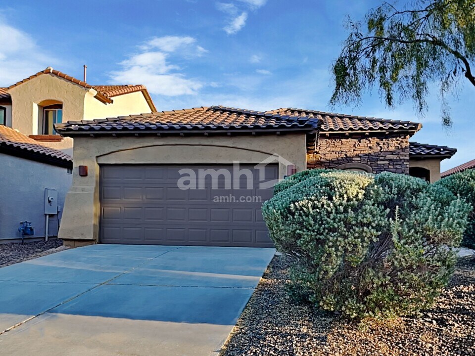 14337 S Via Del Moro in Sahuarita, AZ - Building Photo