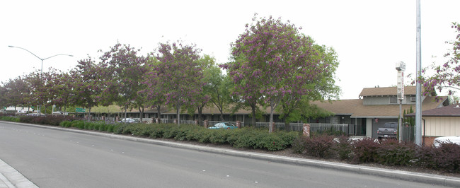 Jalou Apartments in Livermore, CA - Building Photo - Building Photo