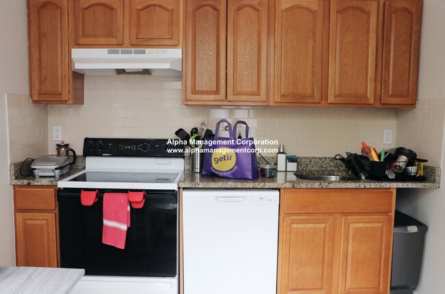 18 Euston St in Brookline, MA - Building Photo - Building Photo