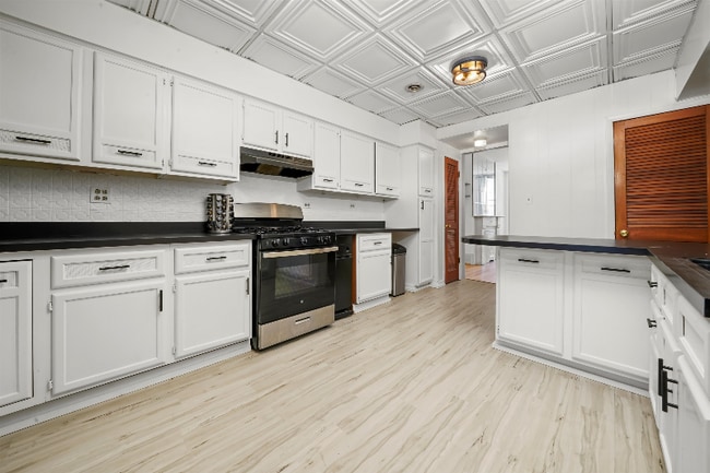 911 S Loomis St in Chicago, IL - Building Photo - Building Photo