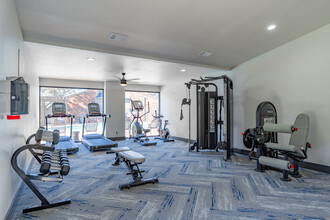 The Hills at Ironhorse in North Richland Hills, TX - Building Photo - Building Photo