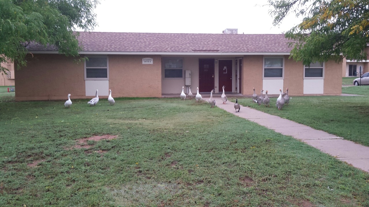 Gatewood Village Apartments in Clovis, NM - Building Photo