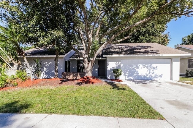 property at 4146 Palau Dr