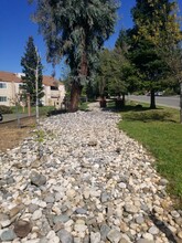 Parkview Apartments in Auburn, CA - Foto de edificio - Building Photo