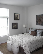 519 Albany St, Unit 406 in Boston, MA - Building Photo - Building Photo