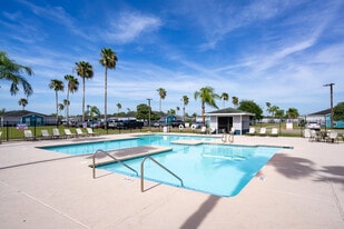 Valley Island Palms Apartments in Edinburg, TX - Building Photo