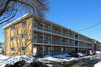 Avenue Condos in Chicago, IL - Building Photo - Building Photo