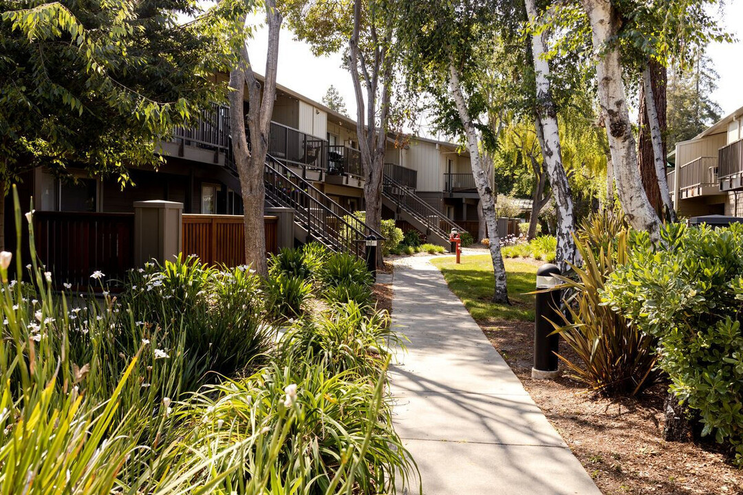 Heatherstone in Mountain View, CA - Foto de edificio