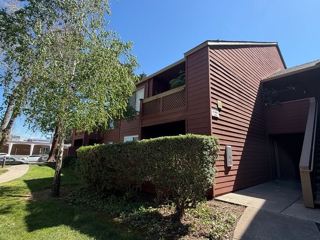 930 Catkin Ct in San Jose, CA - Building Photo - Building Photo