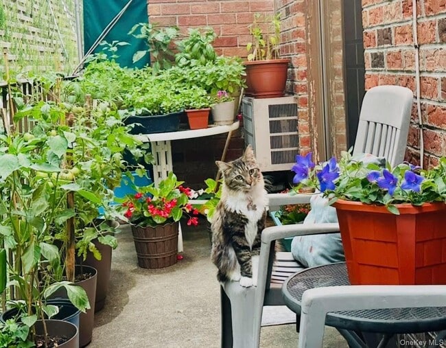 property at 66-07 242nd St