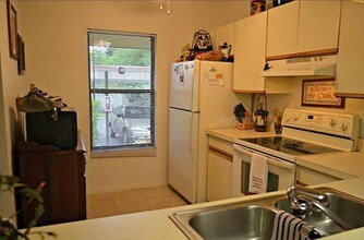 1320 Daffodil Pl, Unit # 7 in Dunedin, FL - Foto de edificio - Building Photo