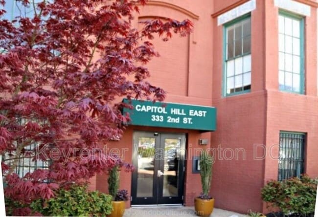 333 2nd St NE in Washington, DC - Building Photo - Building Photo