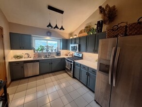 8700 W Evelyn Ln, Unit 301 in Chicago, IL - Building Photo - Building Photo