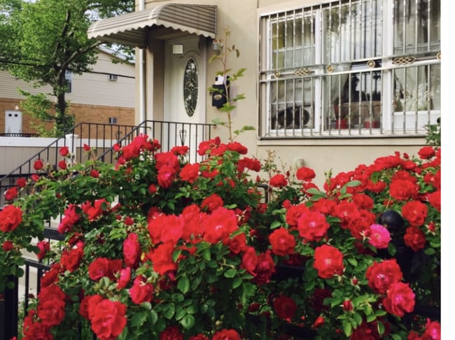 property at 108-40 Union Hall St