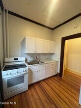 133 S Lake Ave in Albany, NY - Building Photo - Building Photo