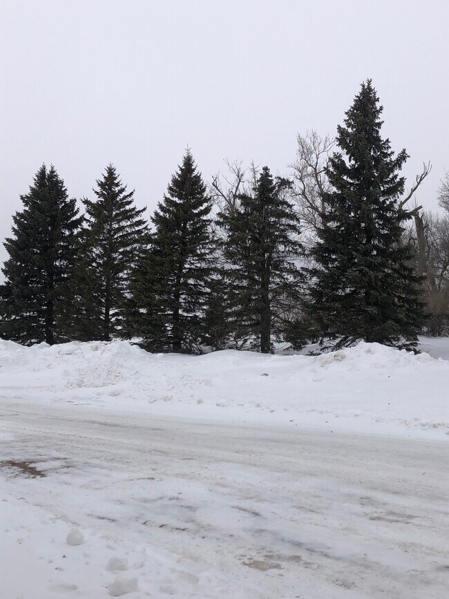 744 Prospect Ave Rentals in Lead, SD