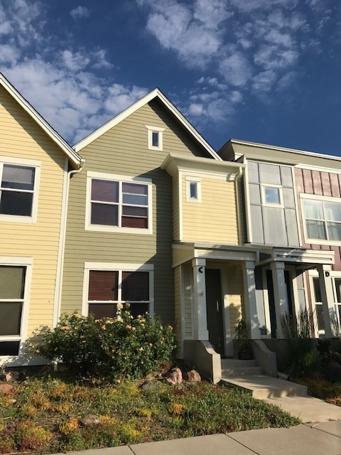 803 Heschel St in Fort Collins, CO - Building Photo