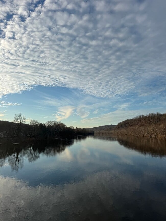 1628 River Rd in Upper Black Eddy, PA - Building Photo - Building Photo