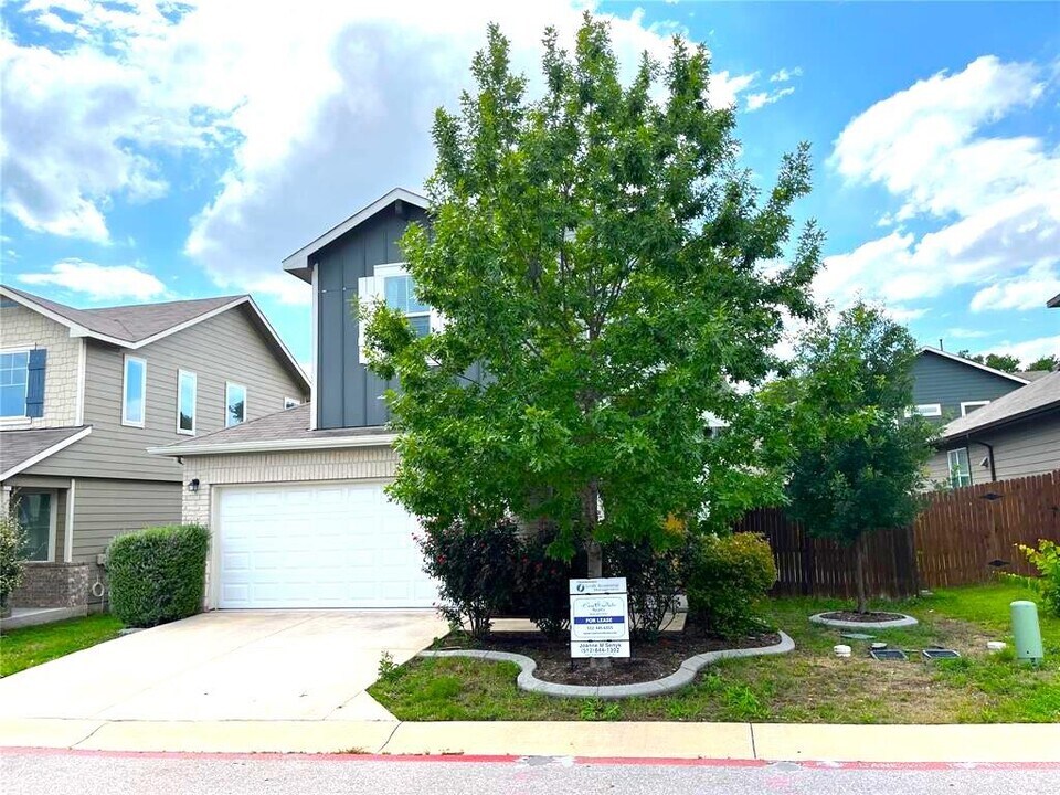 14110 Luisium View in Pflugerville, TX - Foto de edificio
