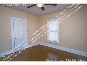 231 Cactus St in San Antonio, TX - Building Photo - Building Photo