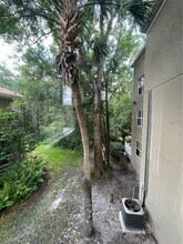 15215 Amberly Dr in Tampa, FL - Building Photo - Building Photo