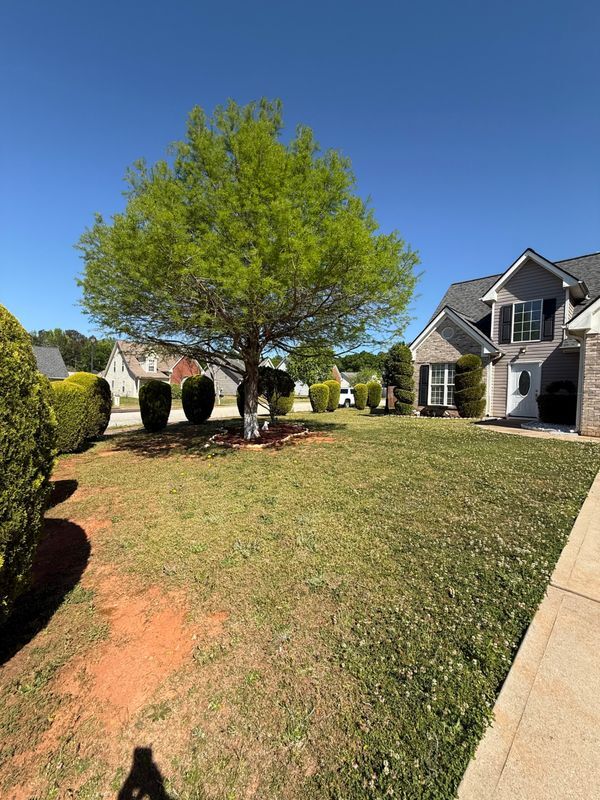 1885 New Orleans Way in Mcdonough, GA - Building Photo - Building Photo