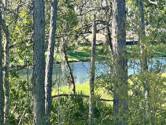 18386 Oliver Twist Wy in Winter Garden, FL - Building Photo - Building Photo