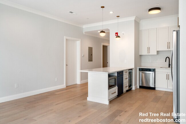 142 Pleasant St in Boston, MA - Building Photo - Building Photo