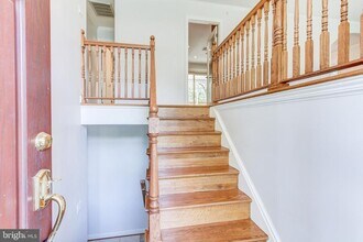 3809 Great Neck Ct in Alexandria, VA - Building Photo - Building Photo