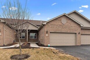 11 Apollo Ct in Tinley Park, IL - Building Photo