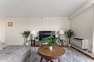 175 Freeman St, Unit ID1240303P in Brookline, MA - Foto de edificio - Building Photo